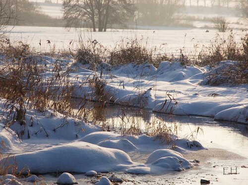 Schöne Schneelandschaft am Tegeler Fließ in Schildow