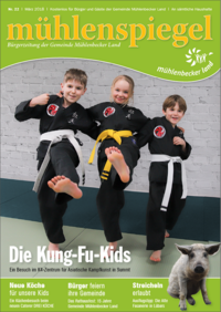 Ausgabe 22